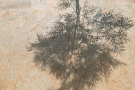 Shadows of tree leaf on footpath. Natural abstract and textured background.