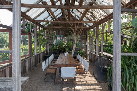 Antique wooden house redesign to be restaurant table with plant decoration in nature environment.
