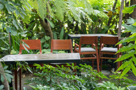 Chair and table in tropical tree garden of cafe and restaurant with nautral lightの写真素材