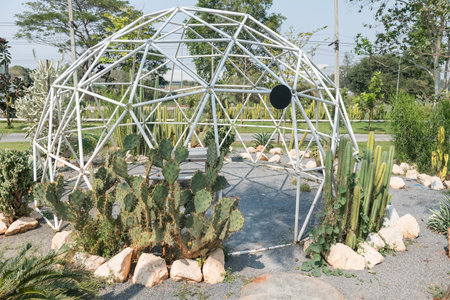 Cactus plants set with rocks in beautiful outdoor garden. Farm industry
