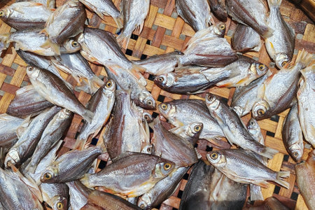 Top view of dried fish by natural sunlight on bamboo basket. Preserved food by traditional Thai method. Sea animal for sale in market.の写真素材