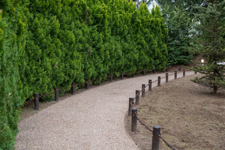 Curve uphill footpath with light decor and spring green tree of outdoor parkの写真素材