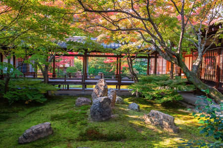 Autumn garden at Kenninji temple with colorful fall foliage leaves, Kyoto, Japan. Famous travel destination in Kansai especially in autumn season.の写真素材