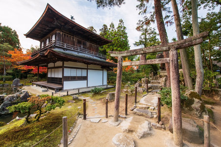 Torii gate and Silver Pavilion of Ginkakuji temple with beautiful colorful autumn foliage leaves, Kyoto, Japan. Famous travel destination for tourist sightseeing of Kansai in fall season.の写真素材