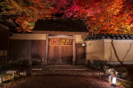 Wooden entrance gate with colorful maple leaves light up at Hogonin temple garden , Arashiyama,...