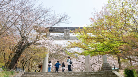 Happy family at torii gate with cherry blossom tunnel of Homangu Kamado shrine located at Mt. Homan, Dazaifu, Fukuoka, Japan. Pink sakura full bloom in springtime garden.の写真素材