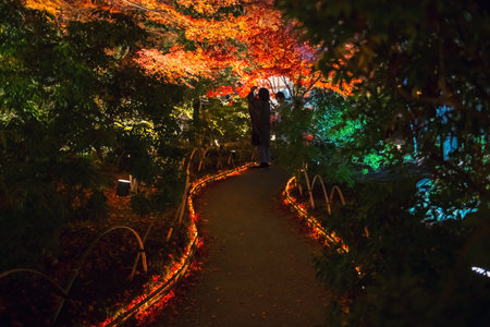 Silhouette couple in kimono and yukata enjoy autumn night illumination at Hogonin temple garden, Arashiyama, Kyoto, Japan. Travel destination for tourist sightseeing of Kansai in fall.の写真素材