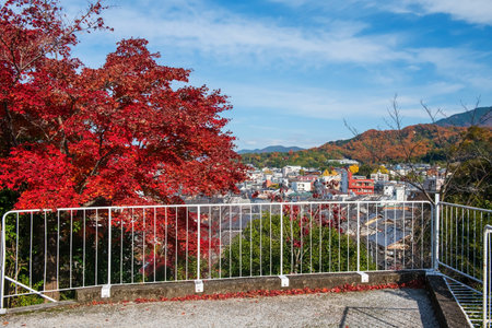 Red maple leaves with aerial view of Kyoto city against blue sky with autumn foliage colors by Shinnyodo Temple, Japan. Famous travel destination for tourist sightseeing in fall season.の写真素材