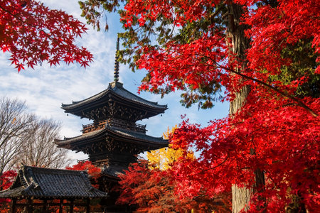 Red maple leaves surround wooden pagoda landmark against blue sky at Shinnyodo Temple, Kyoto, Japan. Famous travel destination for tourist sightseeing Kansai in fall season.の写真素材