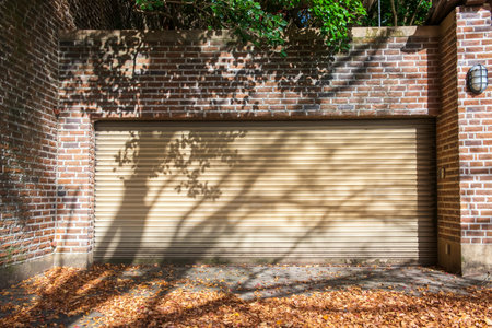 silhouette tree light shade house garage in sunny day.の写真素材