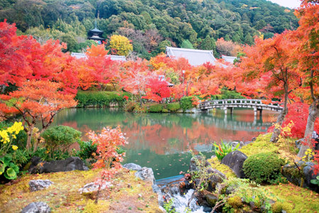 Colorful red maple leaves around pond and stone bridge across Hojo pond and pagoda view of Eikan-do or Eikando Zenrinji Temple in autumn, Kyoto, Japan.travel destination for tourist sightseeing Kansai in fall.の写真素材