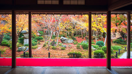 Japanese autumn foliage garden view from Enkoji temple hall with red carpet balcony, Kyoto, Japan. Famous travel destination of Rinzai Zen Buddhist sects for tourist sightseeing Kansai for fall season.の写真素材