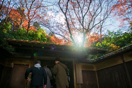 Japanese tourist people enter to Rurikoin Temple entrance gate against autumn foliage leaves and sunlight, Kyoto, Japan. Famous travel destination for tourist sightseeing Kansai for fall season.の写真素材