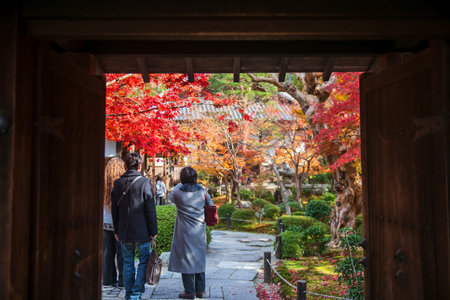 Tourist poeple at Enkoji temple entrance gate enjoy autumn foliage maple leaves in garden, Kyoto,...