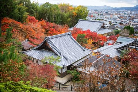 Top view of Enkoji temple with colorful autumn leaves with cityscape view, Kyoto, Japan. Famous...