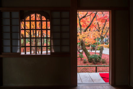 Enkoji temple hall door and window with colorful autumn foliage garden view, Kyoto, Japan. Famous travel destination of Rinzai Zen Buddhist sects for tourist sightseeing Kansai for fall season.の写真素材
