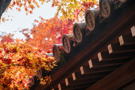 Colorful maple leaves by roof of Eikan-do temple at autumn, Kyoto, Japan. Famous travel destination for tourist sightseeing Kansai in fall season.の写真素材