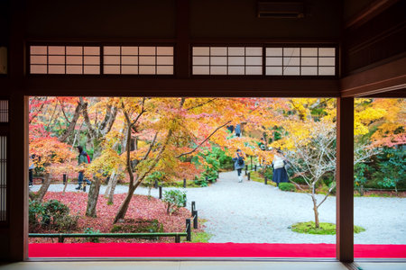 Japanese autumn foliage garden and blur tourist people view from Enkoji temple hall, Kyoto, Japan. Famous travel destination of Rinzai Zen Buddhist sects for tourist sightseeing Kansai for fall season.の写真素材