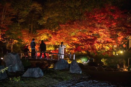 Japanese people on bridge view beautiful autumn foliage color light up of Kurodani Konkai Komyoji garden, Kyoto, Japan. Famous travel destination for tourist sightseeing Kansai for fall illusion.の写真素材