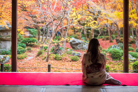 Asian woman wearing Japanese traditional kimono on hall carpet view colorful autumn leaves garden at Enkoji temple, Kyoto, Japan. travel destination of Rinzai Zen Buddhist sects in Kansai at fall.の写真素材