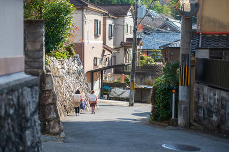 2 little Japanese student girls walk in rural village to go to school at Sakyo area, Kyoto, Japan. Kid education at autumn season.の写真素材