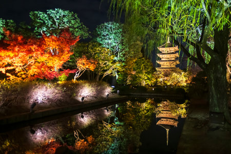 Colorful autumn tree tunnel and Toji 5 story pagoda light up along pond with skyline reflection at night, Kyoto, Japan. Famous travel destination for tourist sightseeing Kansai for fall illumination.の写真素材