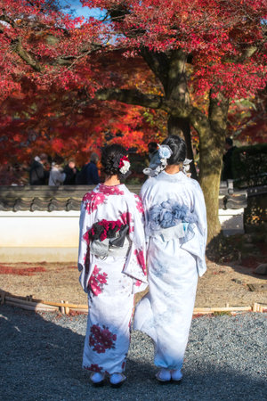 Rear of Japanese women in kimono view red maple leaves in Byodo-In temple garden, Uji, Kyoto, Japan....