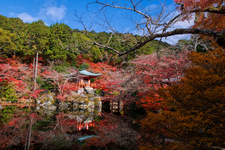 Pavilion pagoda and bridge in Daigo-ji or Diagoji temple with colorful autumn maple leaf garden and blue sky, Kyoto, Japan. Famous travel destination for tourist in Kansai on peak fall in December.の写真素材