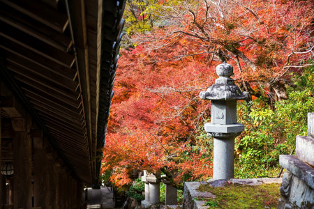 Stone lantern post by colorful maple foliage garden by Wooden Corridor of Hase-dera or Hasedera Temple, Sakurai, Nara, Japan. travel destination for tourist in Kansai on peak fall in December.の写真素材