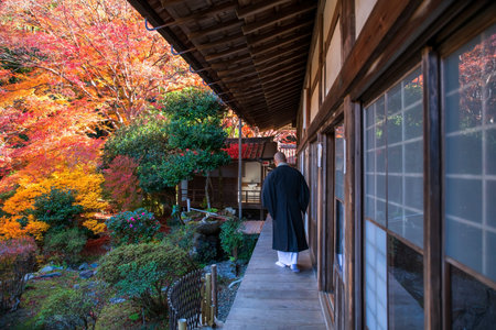 Buddhist monk walk on balcony of Bishamondo temple with beautiful autumn garden of colorful maple...