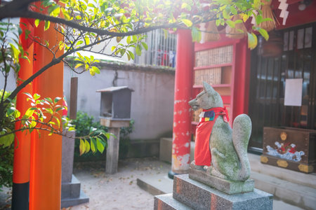 Fox statue by red Torii gates at Kushida Jinja Shinto shrine located in Hakata-ku, Fukuoka, Japan....