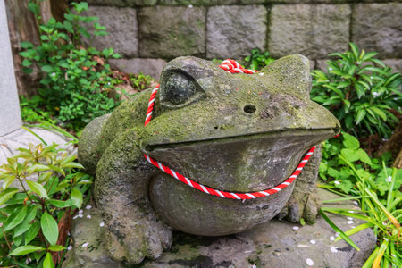Frog stone statue with falling pink sakura at Nyoirinji Temple. Here is famed for toad statue referred to as Kaeru dera, while the formal name is Seieizan Nyoirin-ji.の写真素材