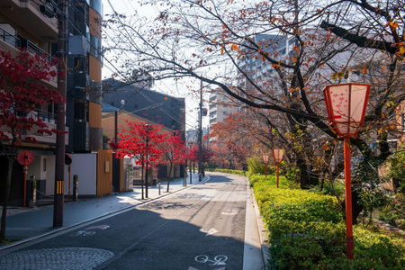 Red maple tree along Kiyamachi dori street, famous and historically important commercial place at...