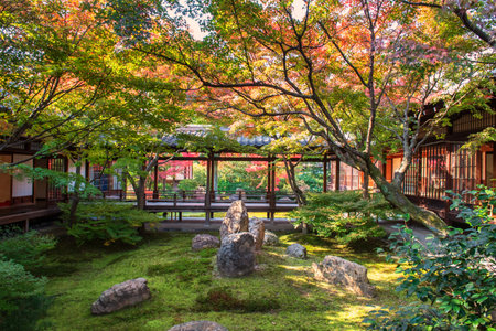 Kenninji temple wooden hall walkway to view colorful autumn foliage garden in December, Kyoto, Japan. Famous travel destination in Kansai especially in fall season.の写真素材