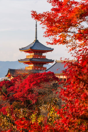 Kiyomizudera temple with red maple leaves in autumn at sunset in Kyoto, Japan. The temple vibrant red and orange pagoda stands out with colorful fall foliage enhance scenic beauty.の写真素材