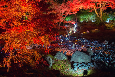 Colorful maple leaves by rock garden with light up in autumn at Hogonin temple, Arashiyama, Kyoto, Japan. Famous travel destination for tourist sightseeing of Kansai in fall season.の写真素材