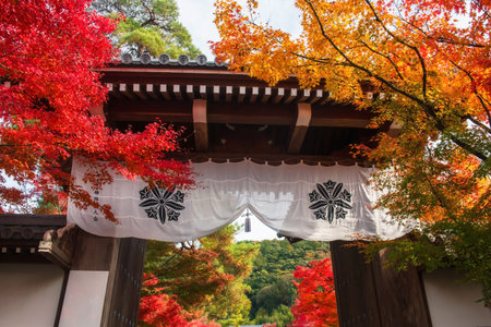 Eikando or Eikan-do Zenrinji  temple entrance gate by colorful maple leaves in autumn, Kyoto, Japan....