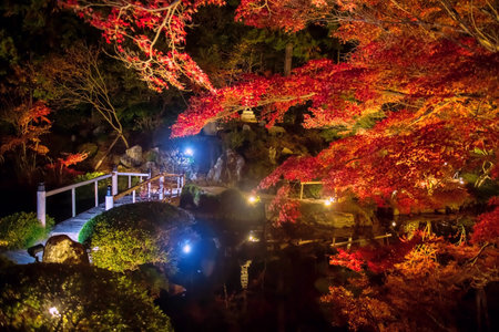 bridge over pond by colorful autumn leaf light up of Kurodani Konkai Komyo-ji temple, Kyoto, Japan....