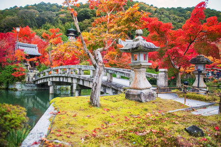 Colorful autumn maple leaf tunnel by stone bridge across Hojo pond to shrine of Eikan-do or Eikando Zenrinji Temple, Kyoto, Japan. Famous travel destination for tourist sightseeing Kansai in fall.の写真素材