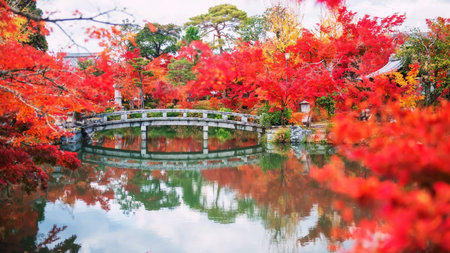 Red maple tree tunnel by stone bridge across Hojo pond with skyline reflection in Eikan-do or...