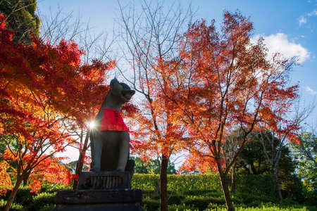 Stone Kitsune fox statue by colorful autumn maple leaves aginst sunlight at Fushimi Inari Taisha...