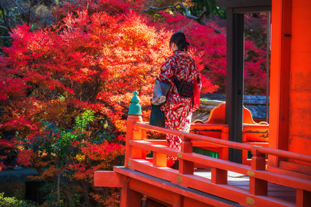 Japanese woman in red Kimono at Bishamondo temple terrace view of colorful maple leaves in autumn garden, Kyoto, Japan. travel destination for tourist in Kansai on peak fall in December.の写真素材
