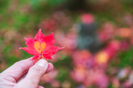 red maple leaf with orange heart shape in fingers at Enkoji temple garden, Kyoto, Japan. Famous travel destination of Rinzai Zen Buddhist sects in Kansai at fall.の写真素材