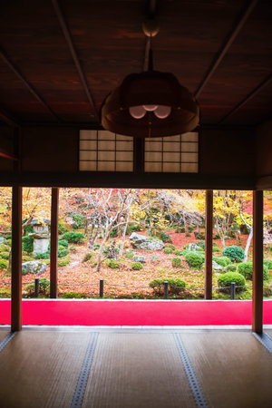 Japanese autumn leaf garden view by Enkoji temple hall with red carpet terrace, Kyoto, Japan. travel...