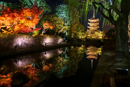 Colorful autumn leaf and Toji 5 story pagoda light up along pond with skyline reflection at night, Kyoto, Japan. Famous travel destination for tourist sightseeing Kansai for fall illumination.の写真素材