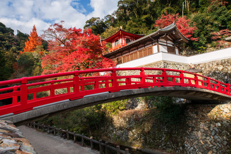 Red bridge to Ryuanji Kyakuden temple on hillside with autumn maple foliage color at Minoo waterfall park, Osaka, Japan. travel destination for sightseeing Kansai in fall season.の写真素材