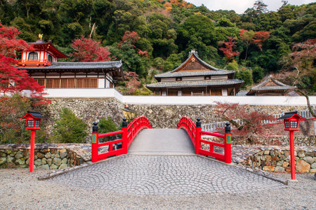 bridge gate to Ryuanji Kyakuden temple on hillside with autumn leaf colors at Minoo waterfall park...