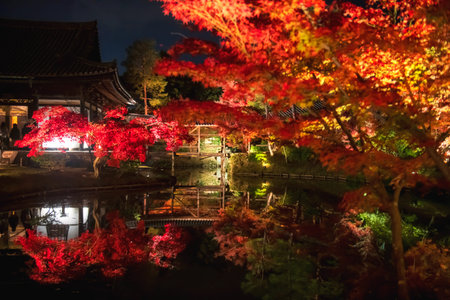 Kodaiji temple autumn leaf garden light up with skyline reflection on pond at night, Kyoto, Japan....