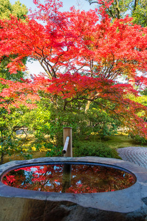 basin and bamboo pipe with red maple fall leaf reflect on water by rock garden at Kenninji temple in Kyoto, Japan. Famous travel destination in Kansai especially in autumn season.の写真素材