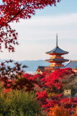 Kiyomizudera pagoda with red maple leaf in autumn at sunset, Kyoto, Japan. The temple vibrant red...